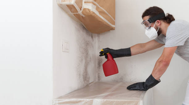 Professional Bathroom Mold Removal technician working in Caldwell, NJ